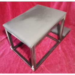 IMMOBILIZZATORE SESSUALE