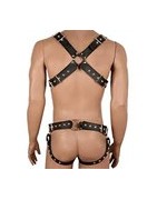 HARNESS